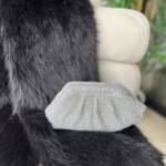 Cartera Strass Plateada